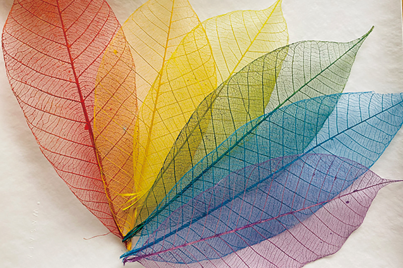 ボタニーペインティング